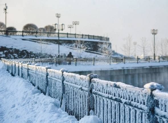 Фото: Природные заповедники Марий Эл используются для реабилитации